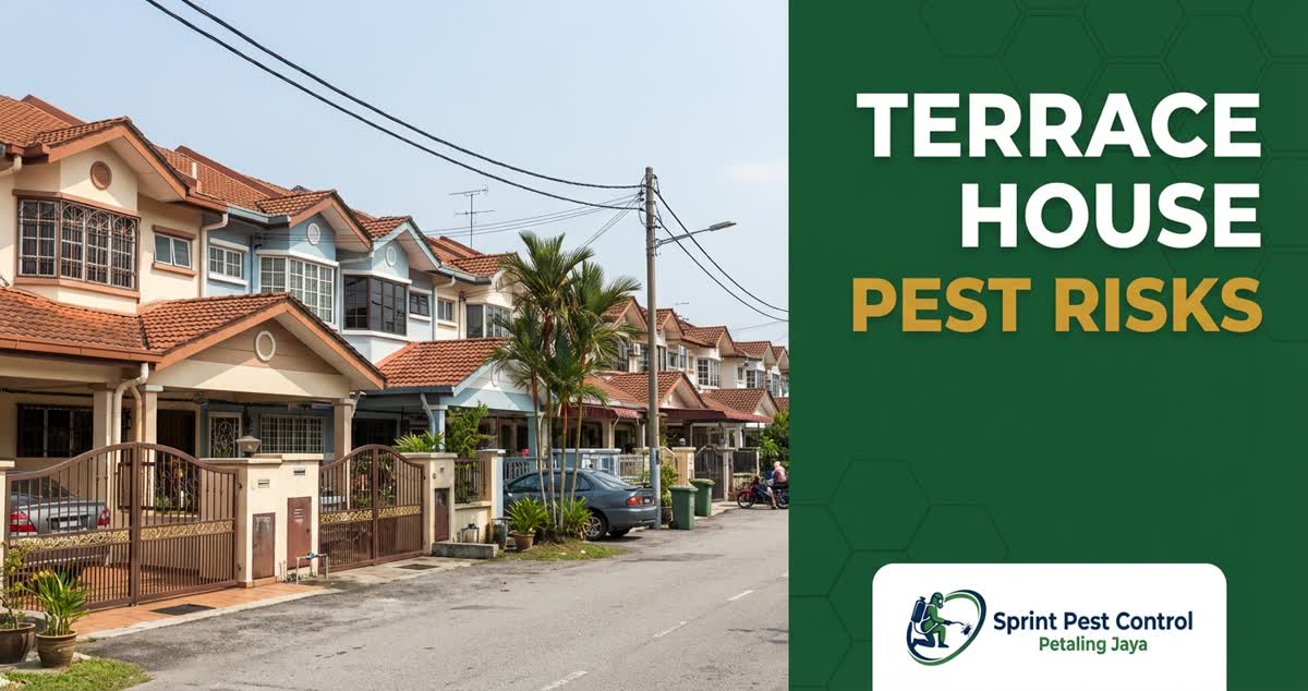 Why PJ terrace houses are vulnerable to pests